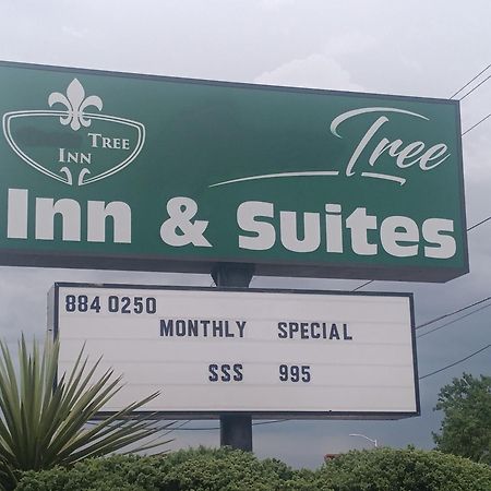 Tree Inn & Suites 阿尔伯克基 外观 照片