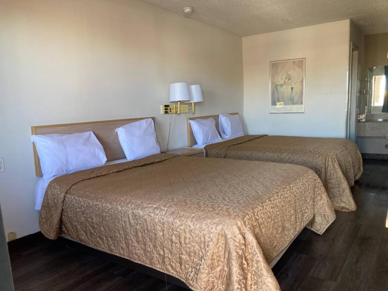 Tree Inn & Suites 阿尔伯克基 外观 照片