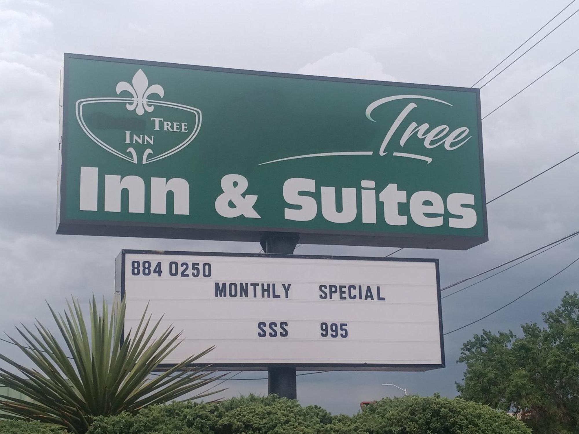 Tree Inn & Suites 阿尔伯克基 外观 照片